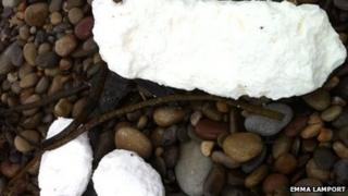 Fat on beach