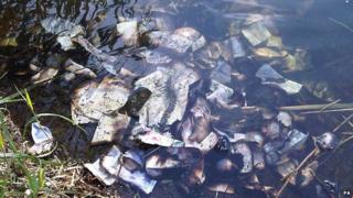 Cash in water