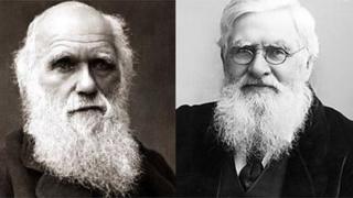 Charles Darwin ac Afred Russel Wallace