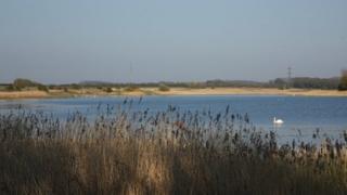 Marton Mere Local Nature Reserve