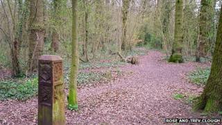 Clayfield Copse