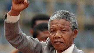 Nelson Mandela addresses a crowd a few weeks after his release from prison in 1990.