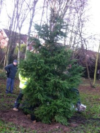 Bilsthorpe Christmas tree