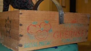 Guernsey tomato crate from the 50s