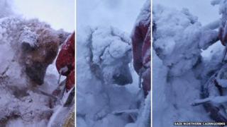 Dog in whiteout conditions in Northern Cairngorms