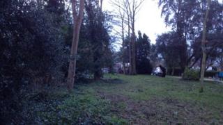 Druitt Gardens