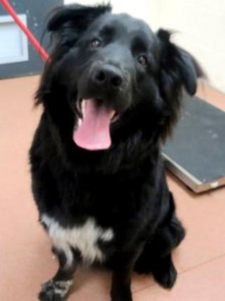 Benson