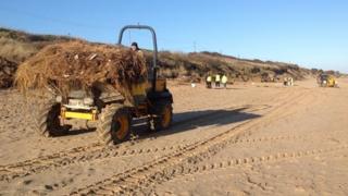 Scratby beach clear-up