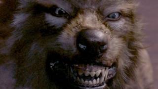Werewolf