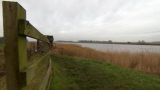 Reedness