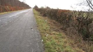 Horse crash scene