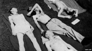 Participants of the experiment