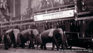 Elephants outside the Brighton Hippodrome