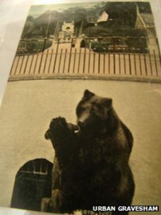 Rosherville Gardens bear pit with Rosie the bear