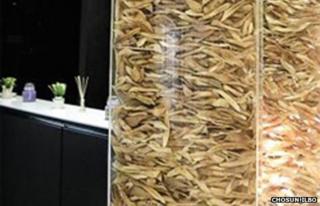 Slivers of bone inside a display cabinet