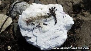 Long Rock substance