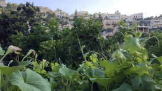 Village of Battir as seen from the agricultural land in the valley
