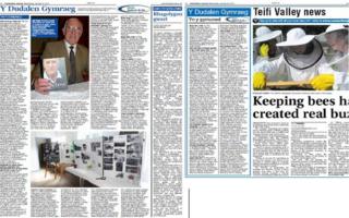 Camarthen Journal