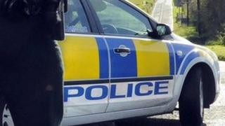 Police car