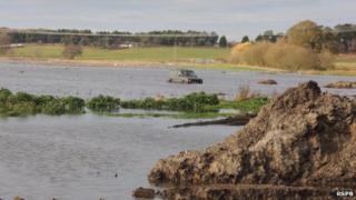 RSPB Snape