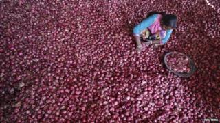 A labourer spreads onions for sorting at a wholesale vegetable market in the northern Indian city of Chandigarh