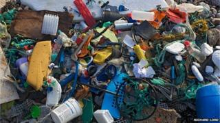 Rubbish collected from Petit Port