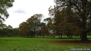 Morden Hall Park