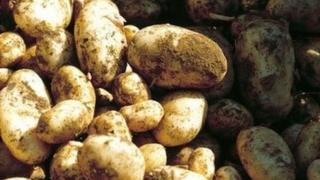 Jersey Royal potatoes