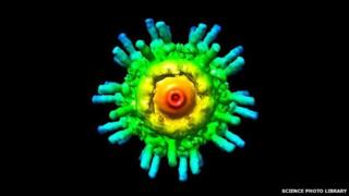 Molecular motor