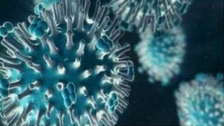 The H1N1 virus is commonly known as swine flu