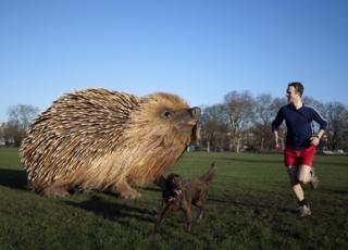 A man runs past a model of a hedgehog, measuring 12 feet long, 8 feet wide, and 7 feet tall, on Clapham Common in south London