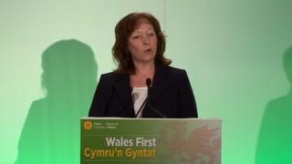 Jill Evans MEP