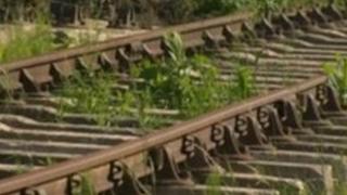 Wisbech line