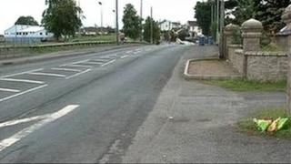 Mr Quinn was knocked down on the Gortgonis Road in Coalisland