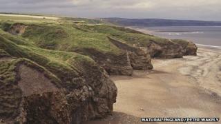 Blackhall Rocks in County Durham