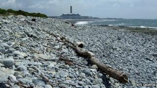 Summerhouse Point beach