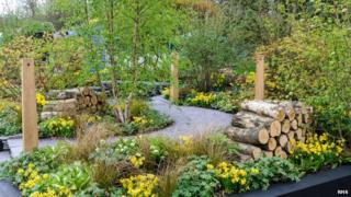 The woodland garden