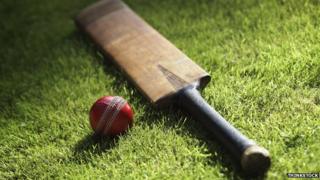 Vintage cricket bat and ball