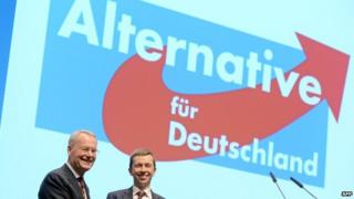 AfD rally and party members - file pic
