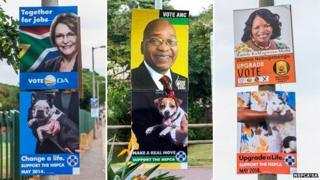Combination of NSPCA adverts attached to South Africa election posters