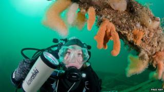 Heriot-Watt diver
