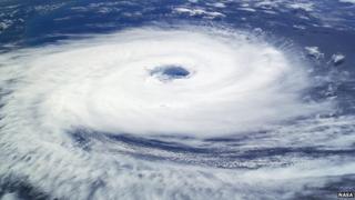 Typhoon