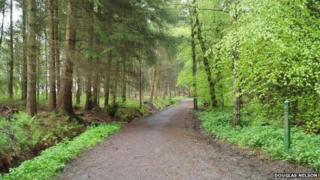 Templeton Woods