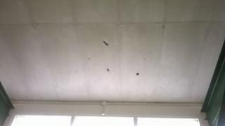 Holes were identified in Hereford ambulance station's garage roof, revealing the asbestos