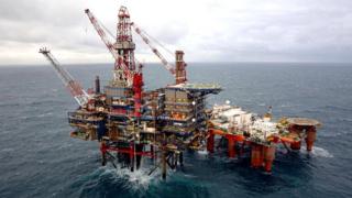 Nelson platform