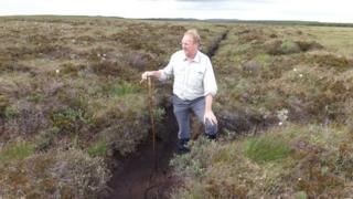 Dried up, degraded peat bog at Strathy South site