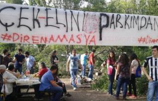 Protestors gathered at the park in Amasya