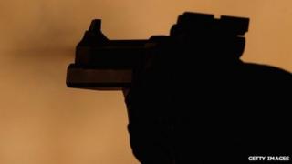Gun