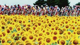 The Tour de France