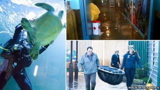 Sea Life Sanctuary, Hunstanton
